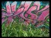 thumbbig-Artistic-Graffiti-45111.jpg